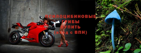 СК Армянск