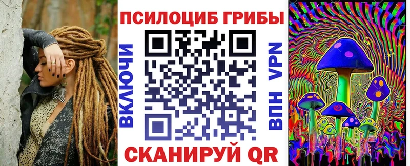 Псилоцибиновые грибы мицелий Всеволожск