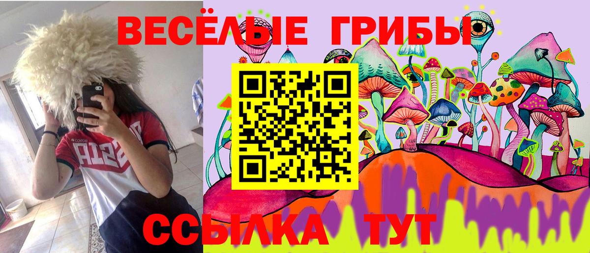 Всеволожск  Галлюциногенные грибы GOLDEN TEACHER  Вход с VPN  Псилоцибиновые грибы мухоморы 